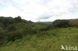 Cordillera Escalera