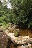 Cordillera Escalera