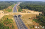 Ecoduct Hoog Buurlo