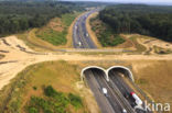 Ecoduct Hoog Buurlo