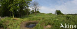 ecoduct