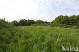 ecoduct
