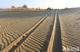 Kootwijkerzand
