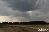 National Park Loonse en Drunense Duinen