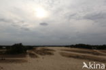 Nationaal Park Loonse en Drunense Duinen