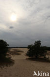 Nationaal Park Loonse en Drunense Duinen