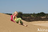 Nationaal Park Loonse en Drunense Duinen