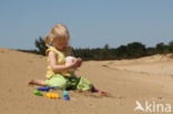 Nationaal Park Loonse en Drunense Duinen