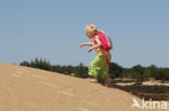 Nationaal Park Loonse en Drunense Duinen