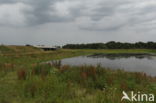 Nationaal Park Weerribben-Wieden