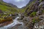 Buachaille Etive Mor