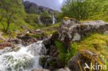 Buachaille Etive Mor