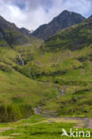 Buachaille Etive Mor