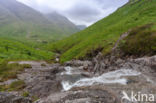 Buachaille Etive Mor