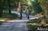 Nationaal Park De Hoge Veluwe