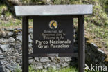 Gran Paradiso National Park