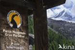 Nationaal park Gran Paradiso
