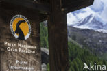 Gran Paradiso National Park