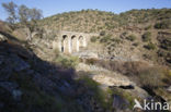 Puente Rio Salor