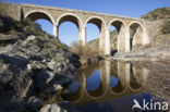 Puente Rio Salor