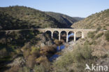 Puente Rio Salor