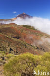 Parque Nacional de Pico del Teide