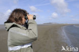 Waddenzee