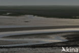 Waddenzee