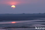 Waddenzee