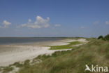 Waddenzee