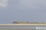 Waddenzee