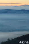 fog