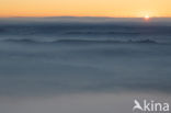 fog