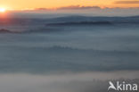 fog