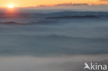 fog