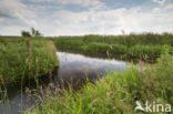 Nationaal beek- en esdorpenlandschap Drentsche Aa