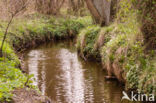 Nationaal beek- en esdorpenlandschap Drentsche Aa