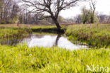 Nationaal beek- en esdorpenlandschap Drentsche Aa