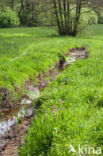 Nationaal beek- en esdorpenlandschap Drentsche Aa