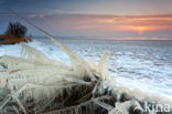 National Park Lauwersmeer