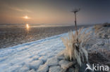 National Park Lauwersmeer