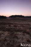 National Park Loonse en Drunense Duinen