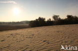 National Park Loonse en Drunense Duinen