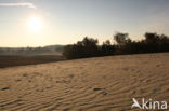 Nationaal Park Loonse en Drunense Duinen