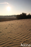 National Park Loonse en Drunense Duinen