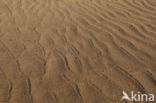 National Park Loonse en Drunense Duinen