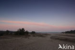 Nationaal Park Loonse en Drunense Duinen