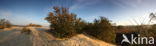 National Park Loonse en Drunense Duinen