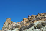 Parque Nacional de Pico del Teide