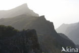 Pico del Teide National Park